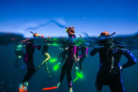 Sal Salis Ningaloo Reef - VIC Tourism 26