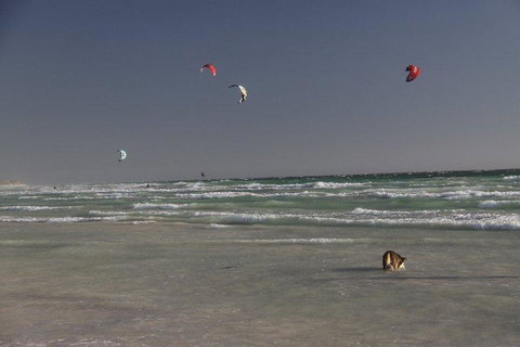 Dongara Tourist Park - VIC Tourism 33