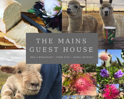 The Mains Guest House 2 Bedroom Farm Stay - VIC Tourism 0