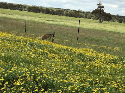 The Mains Guest House 2 Bedroom Farm Stay - VIC Tourism 15
