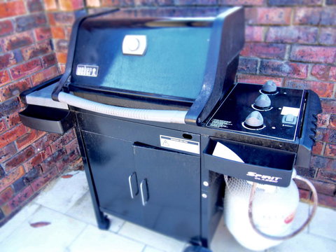 Kings Park Motel - VIC Tourism 30