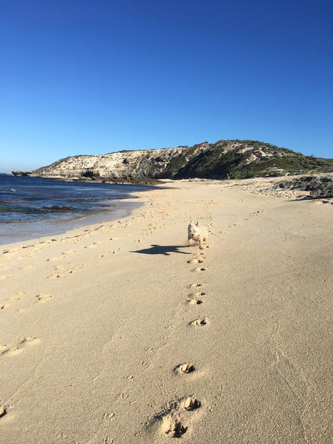 Aquatic Visions - VIC Tourism 36