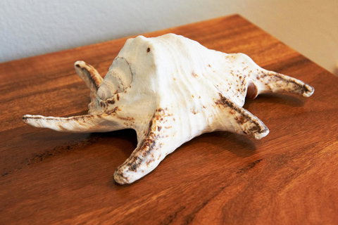 Aquatic Visions - VIC Tourism 40