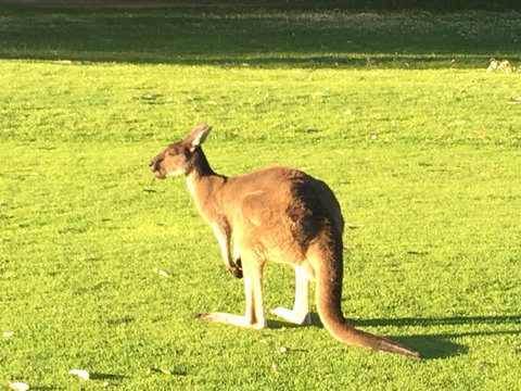 Aquatic Visions - VIC Tourism 41