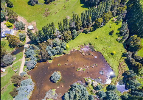 Giants Table And Cottages - VIC Tourism 23