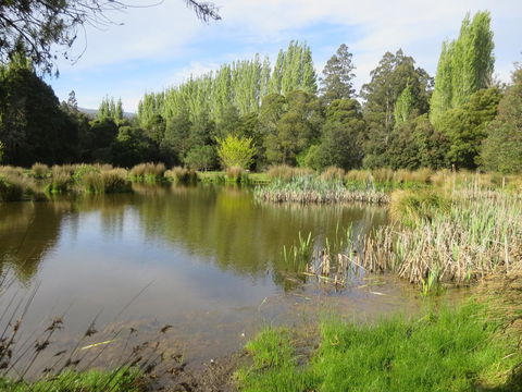 Giants Table And Cottages - VIC Tourism 25