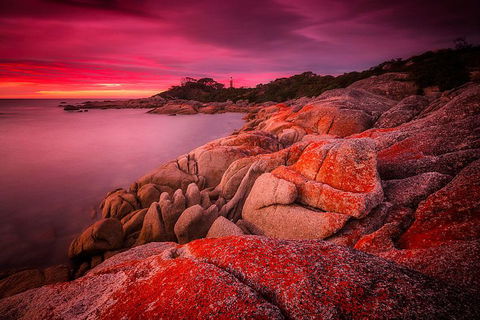 Georges Bay Apartments - VIC Tourism 27