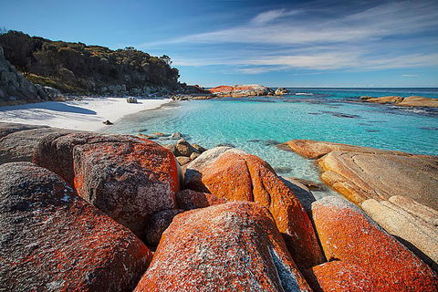 Georges Bay Apartments - VIC Tourism 0