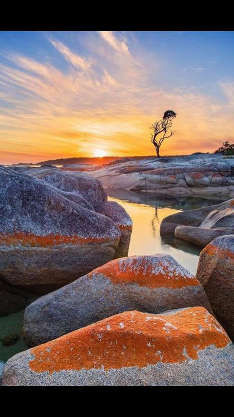Georges Bay Apartments - VIC Tourism 4