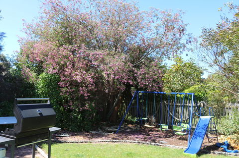 Sisters Beach Paradise - VIC Tourism 9