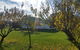 Grace Cottage - thumb 10