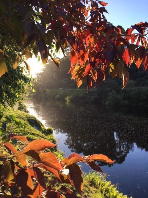 Forth River Cottage - VIC Tourism 4