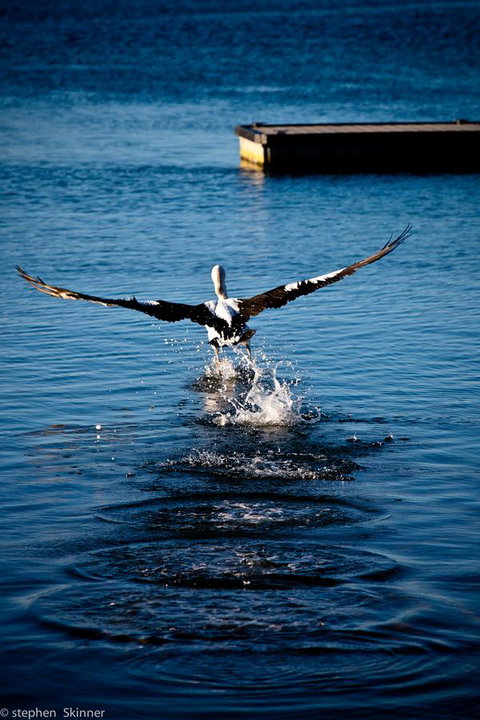 The Waterfront Wynyard - VIC Tourism 17