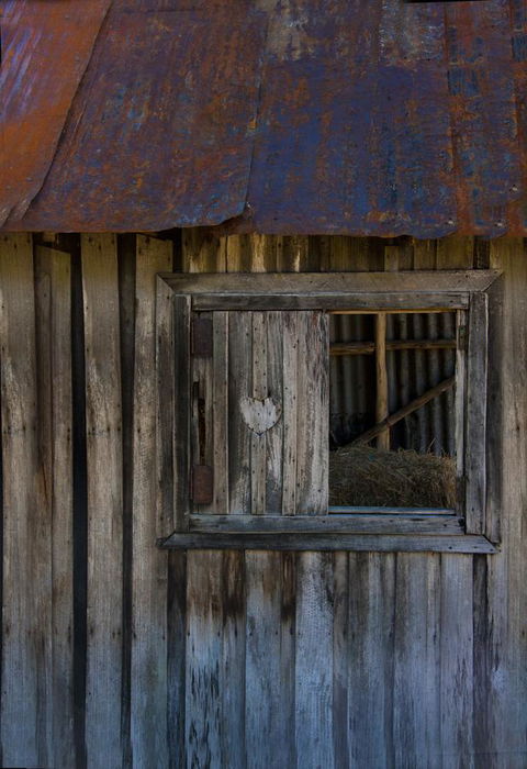Tyenna River Cottages - VIC Tourism 28