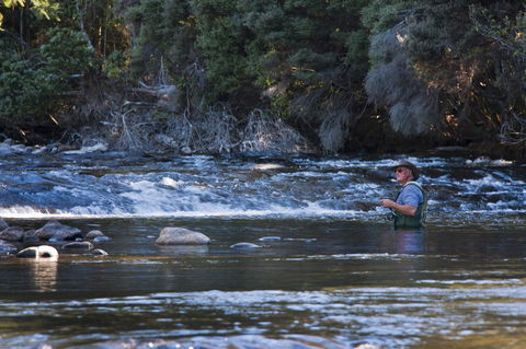 Tyenna River Cottages - VIC Tourism 21