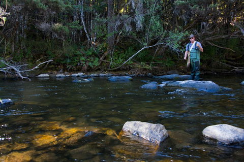 Tyenna River Cottages - VIC Tourism 2