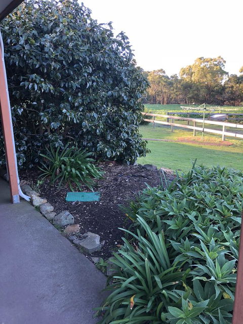 Acton Park Holiday Units - VIC Tourism 20