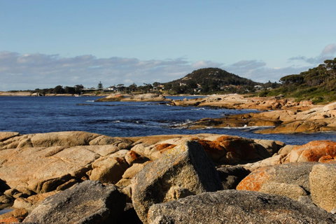 Mermaids Of Bicheno - VIC Tourism 15