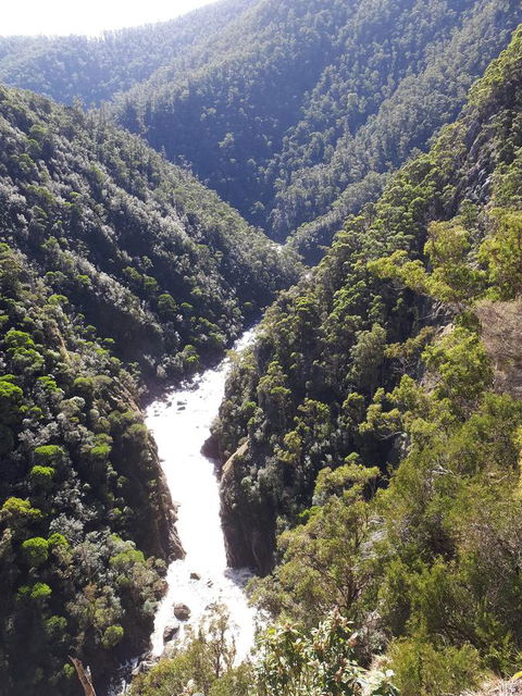 Robin\'s Nest B&B - VIC Tourism 22