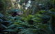 Maydena Chalet - thumb 42