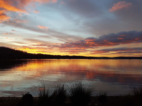 Oyster Cove Chalet - VIC Tourism 10