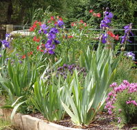 Karoola Cottage Self Contained - VIC Tourism