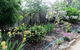 Elm Trees Accommodation @ Ross - thumb 6