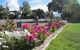 Elm Trees Accommodation @ Ross - thumb 24
