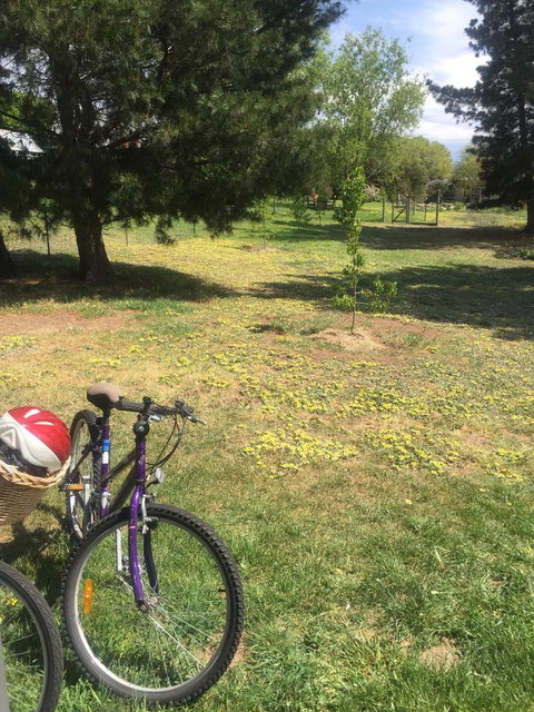 White Croft Cottage - VIC Tourism 3