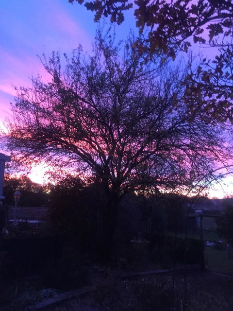 White Croft Cottage - VIC Tourism 2