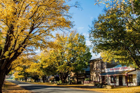 White Croft Cottage - VIC Tourism 22