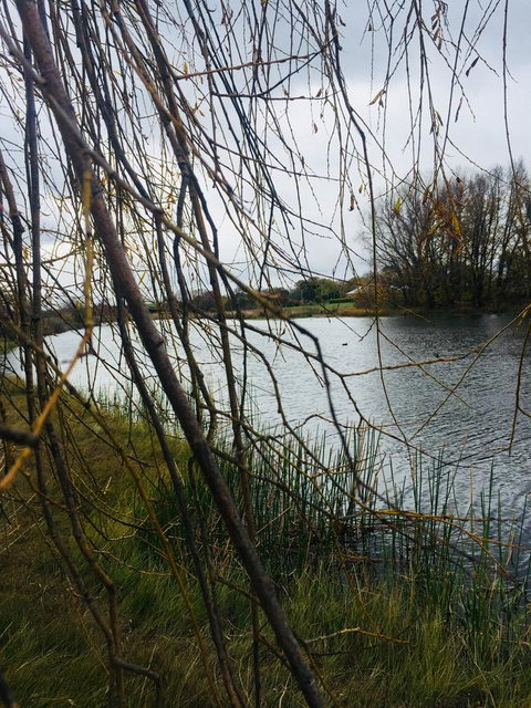 White Croft Cottage - VIC Tourism 6