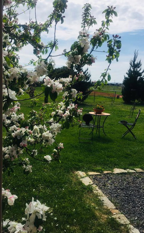 White Croft Cottage - VIC Tourism 4