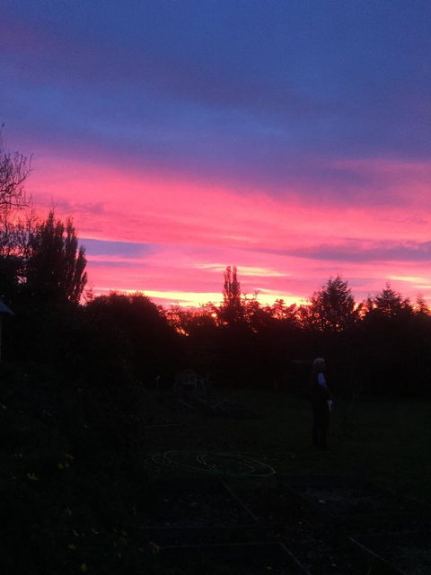 White Croft Cottage - VIC Tourism 1