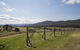 Twamley Farm - thumb 7