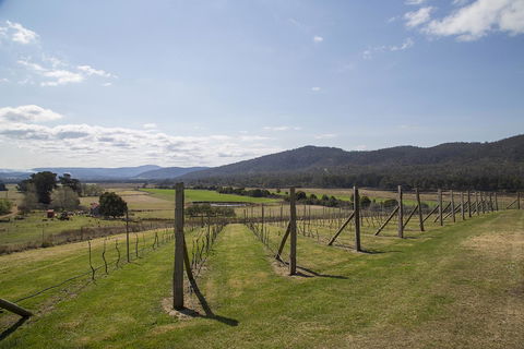 Twamley Farm - VIC Tourism 7