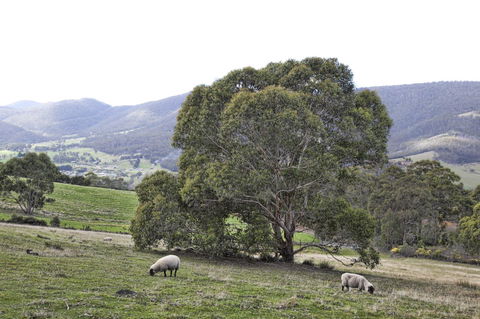 House On The Hill Bed And Breakfast - VIC Tourism 16