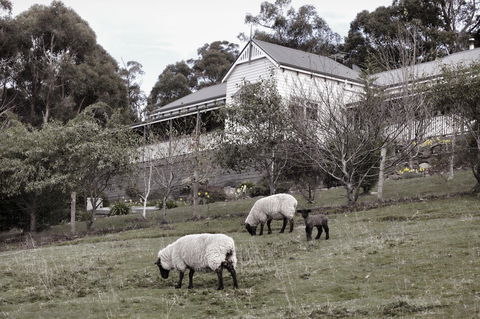 House On The Hill Bed And Breakfast - VIC Tourism 19