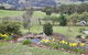 House On The Hill Bed And Breakfast - thumb 36