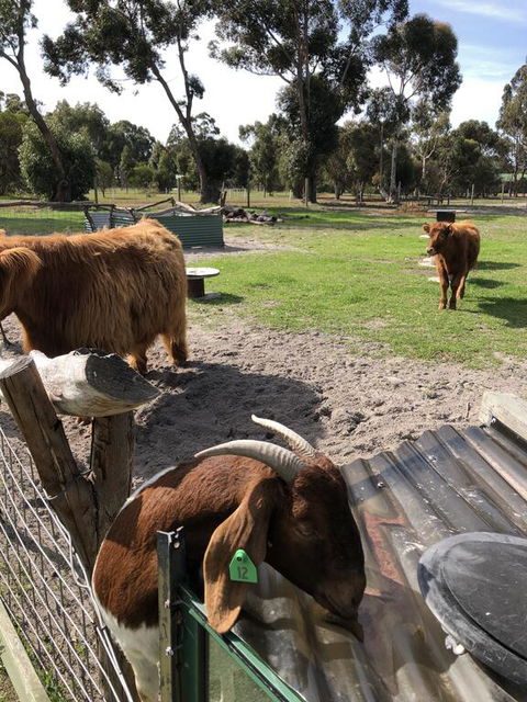 Nutcrackers Lodge - VIC Tourism 2