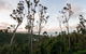 Onestep Airlie Retreat - thumb 0