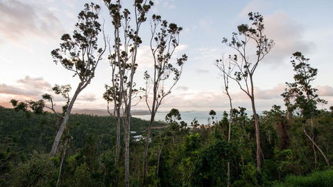 Onestep Airlie Retreat - VIC Tourism 0