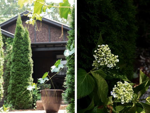 Oscar's Garden - VIC Tourism 2
