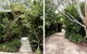 Oscar's Garden - thumb 0