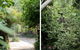 Oscar's Garden - thumb 3