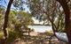 Oystercatcher - On The Banks Of The Lagoon - thumb 0
