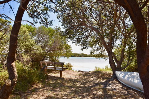 Oystercatcher - On The Banks Of The Lagoon - VIC Tourism 0