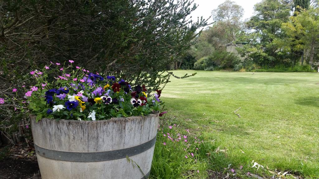 Padthaway SA VIC Tourism