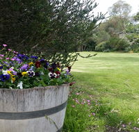 Padthaway Caravan Park - VIC Tourism