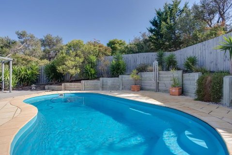 Paws Up Poolside - VIC Tourism 1